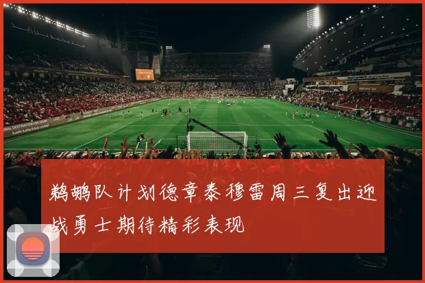 鹈鹕队计划德章泰穆雷周三复出迎战勇士期待精彩表现